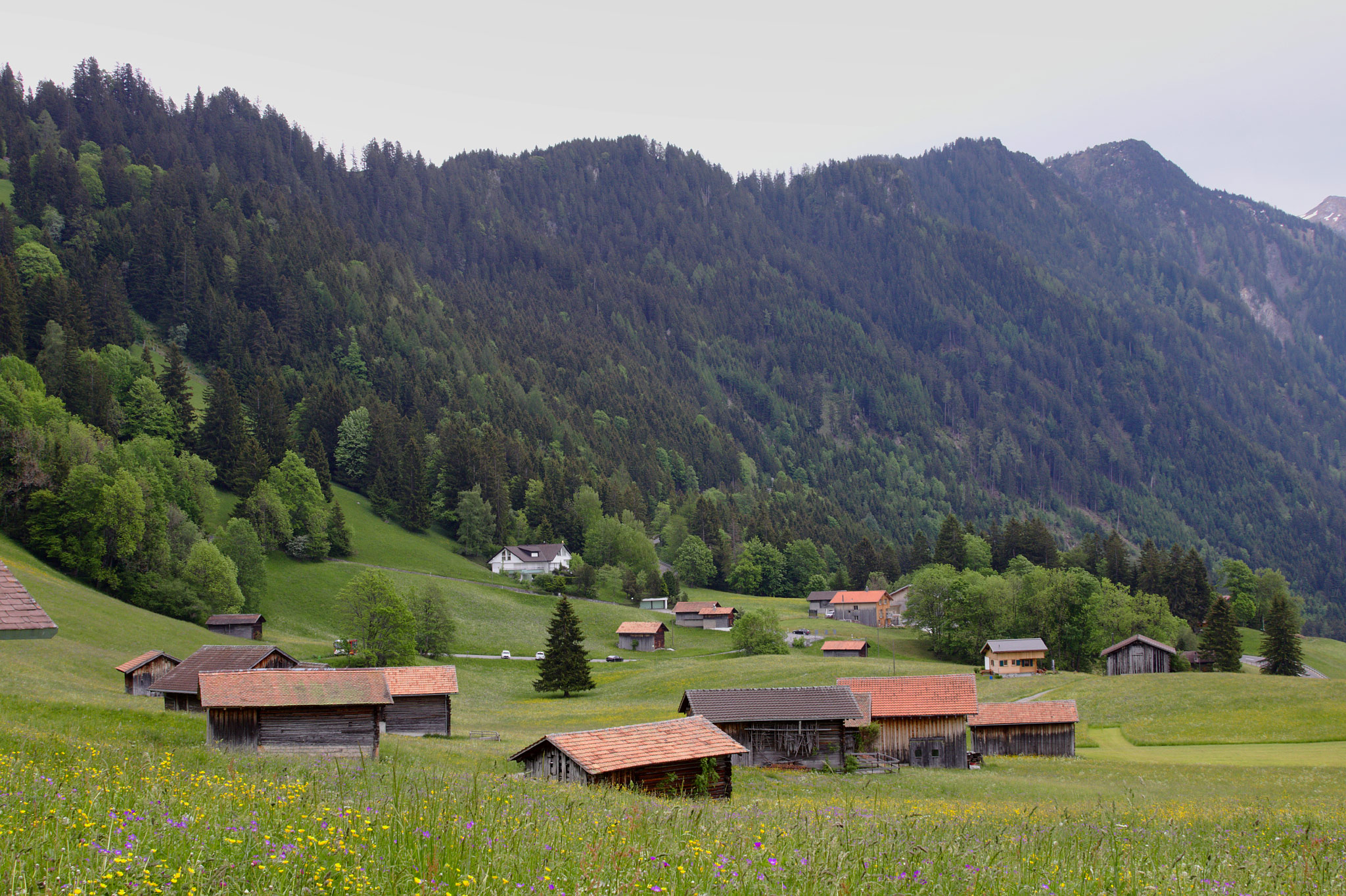 Gnalp